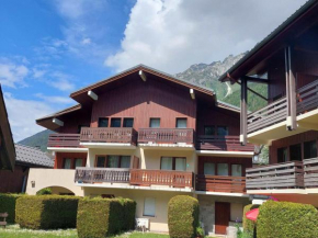 Charmant 2 pièces rénové avec balcon, wifi et parking, proche centre et commerces - FR-1-517-66 Chamonix-Mont-Blanc